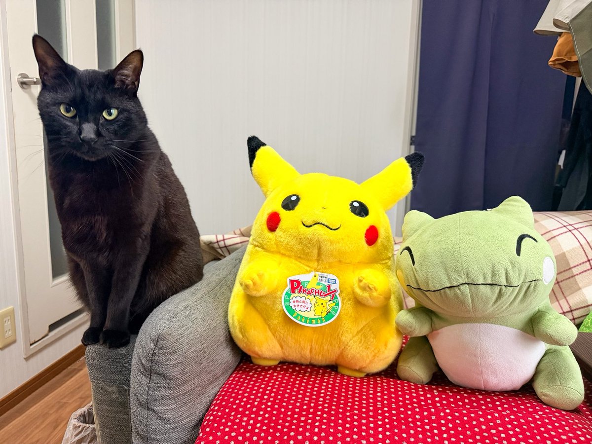 M_Blue217's tweet photo. ピカチュウぬい届いてずぅっとこれ。 https://t.co/LUpOwxgIjh