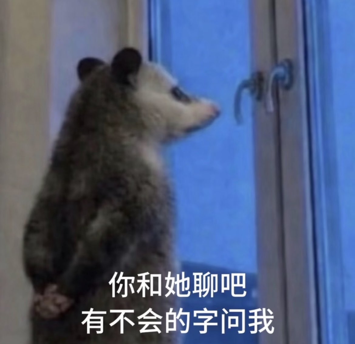 林林 tweet media