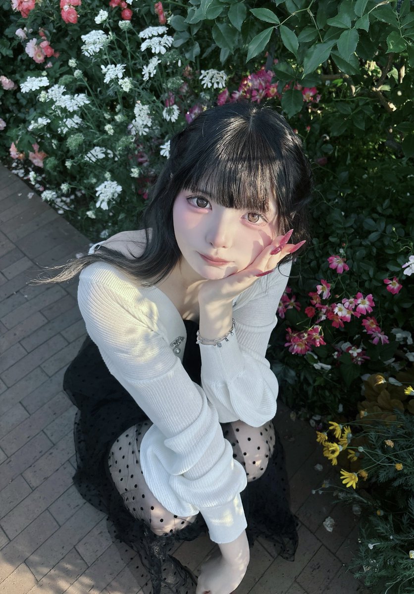 ぴのぴの Post by ぴの🍨🎀 on X: 🪄︎︎◝✩