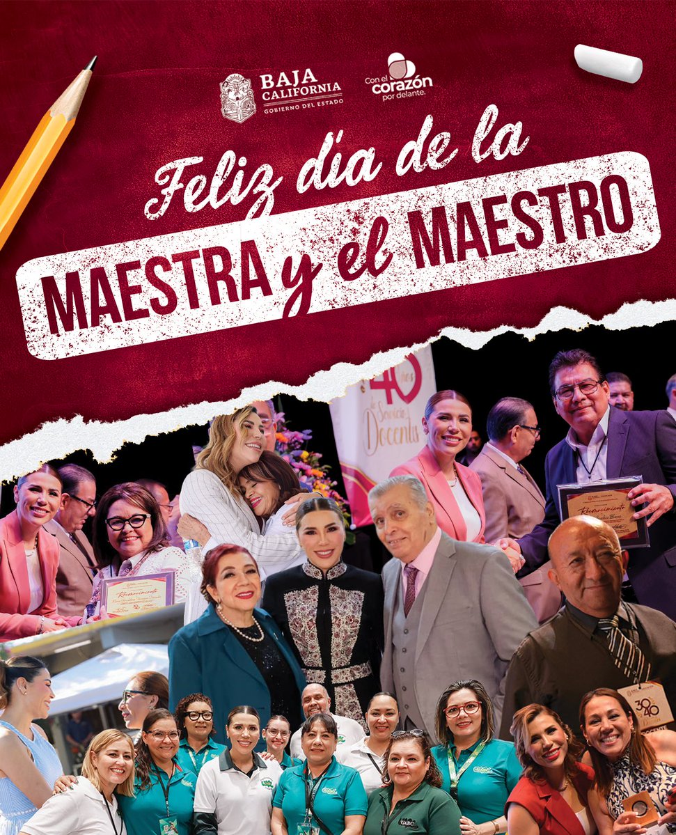 Marina del Pilar tweet media