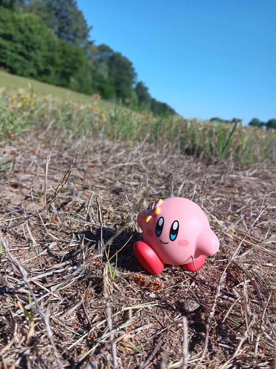 JamesonMozelle1's tweet photo. Hidden In The Flowers https://t.co/uTVaISULYr