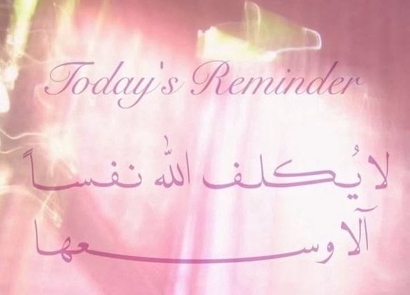جُ tweet media