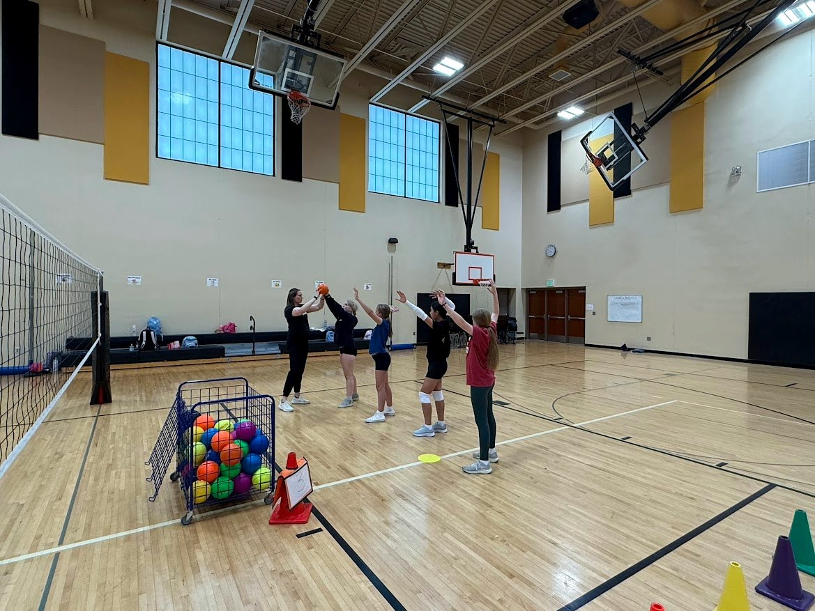 Byron Bears Volleyball tweet media