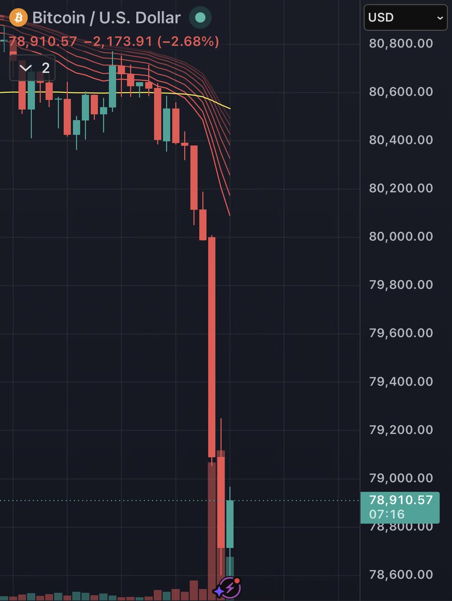 ₿itcoin Rachy ⚡️ tweet media