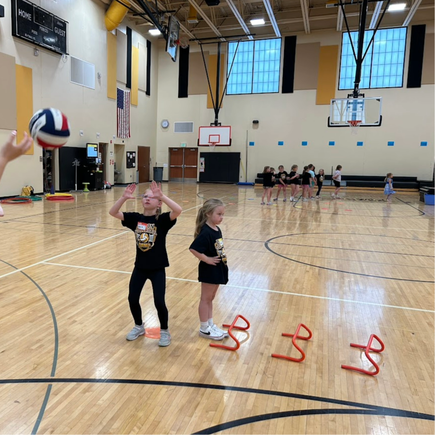 Byron Bears Volleyball tweet media