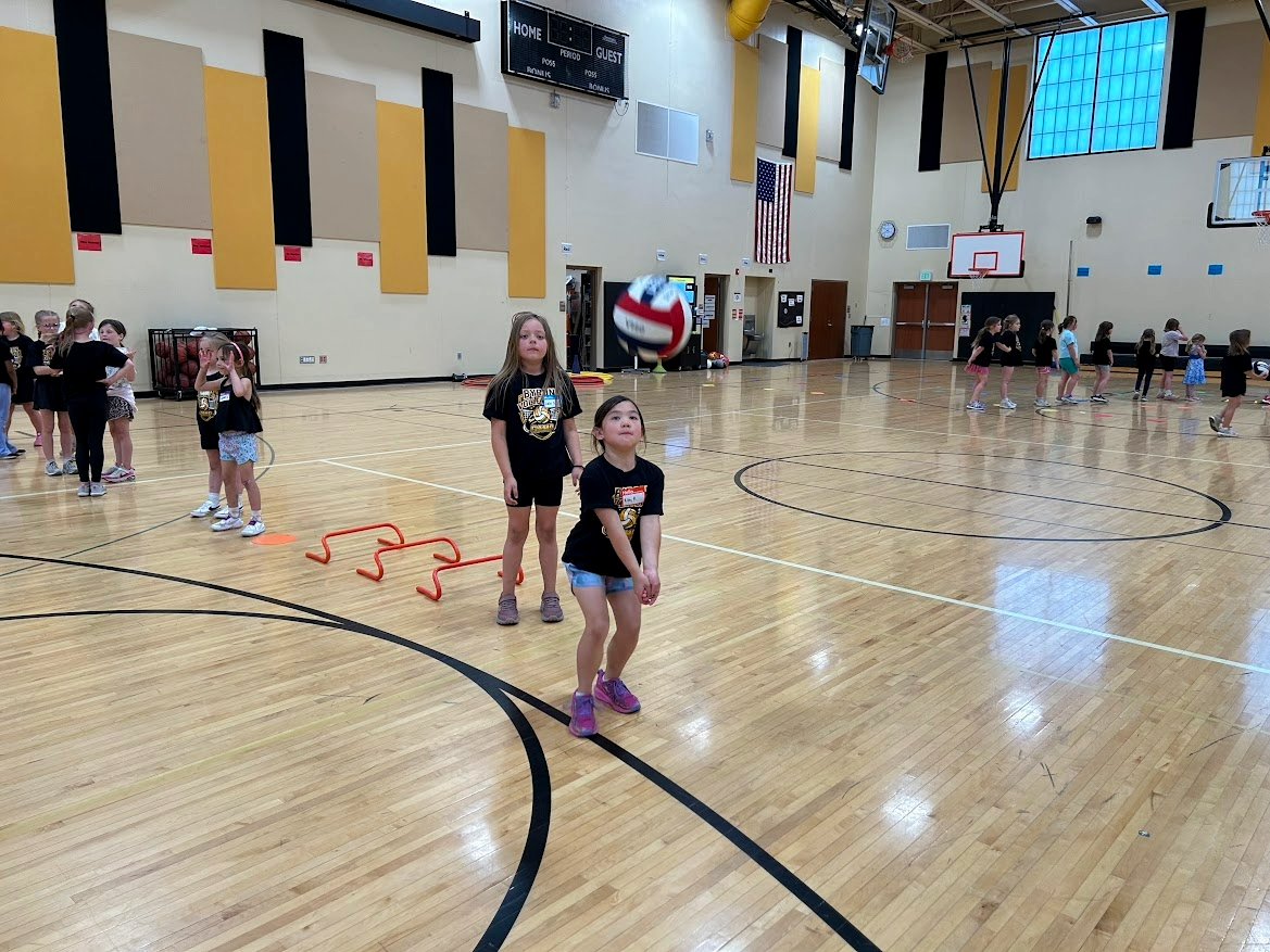 Byron Bears Volleyball tweet media