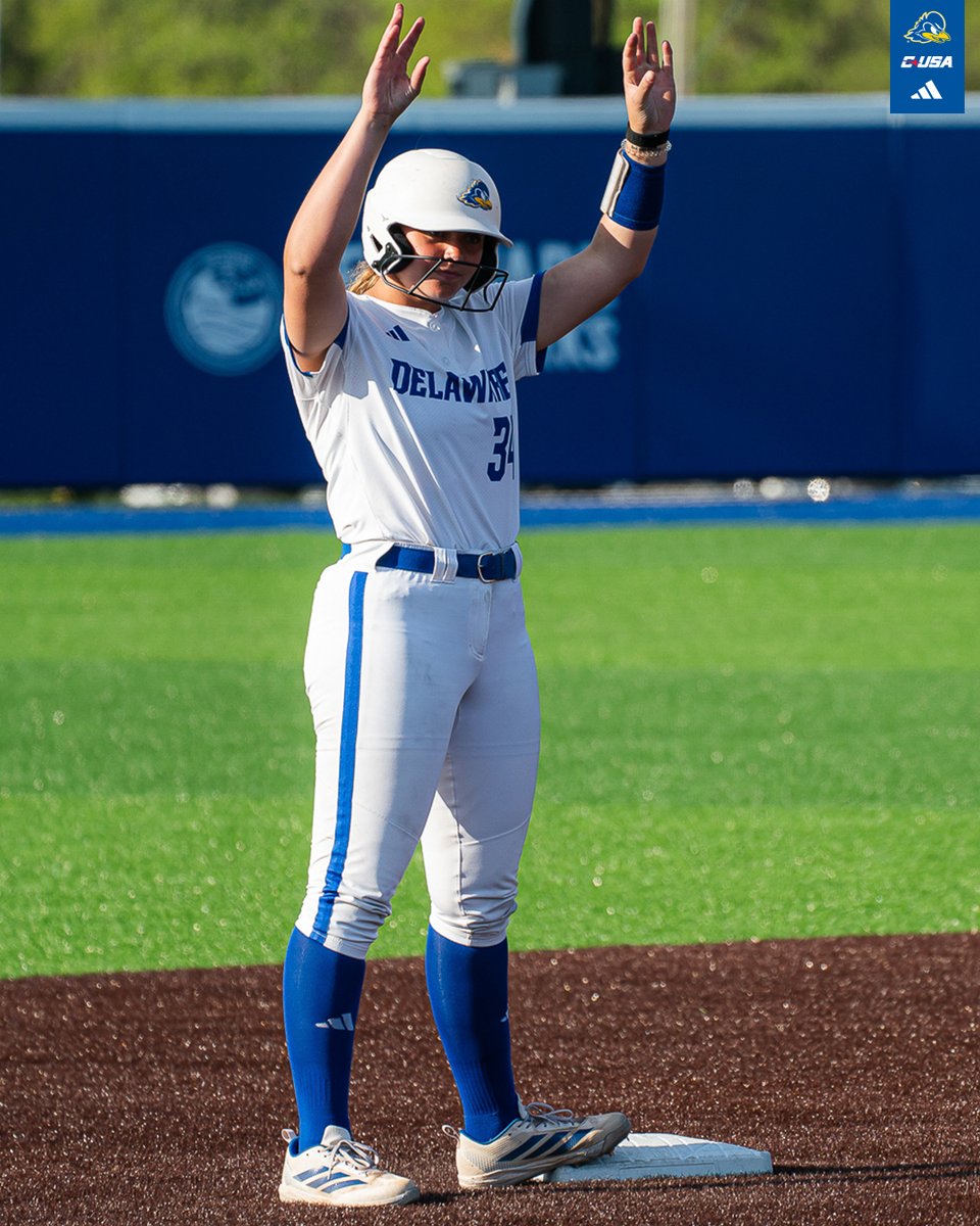Delaware Softball tweet media
