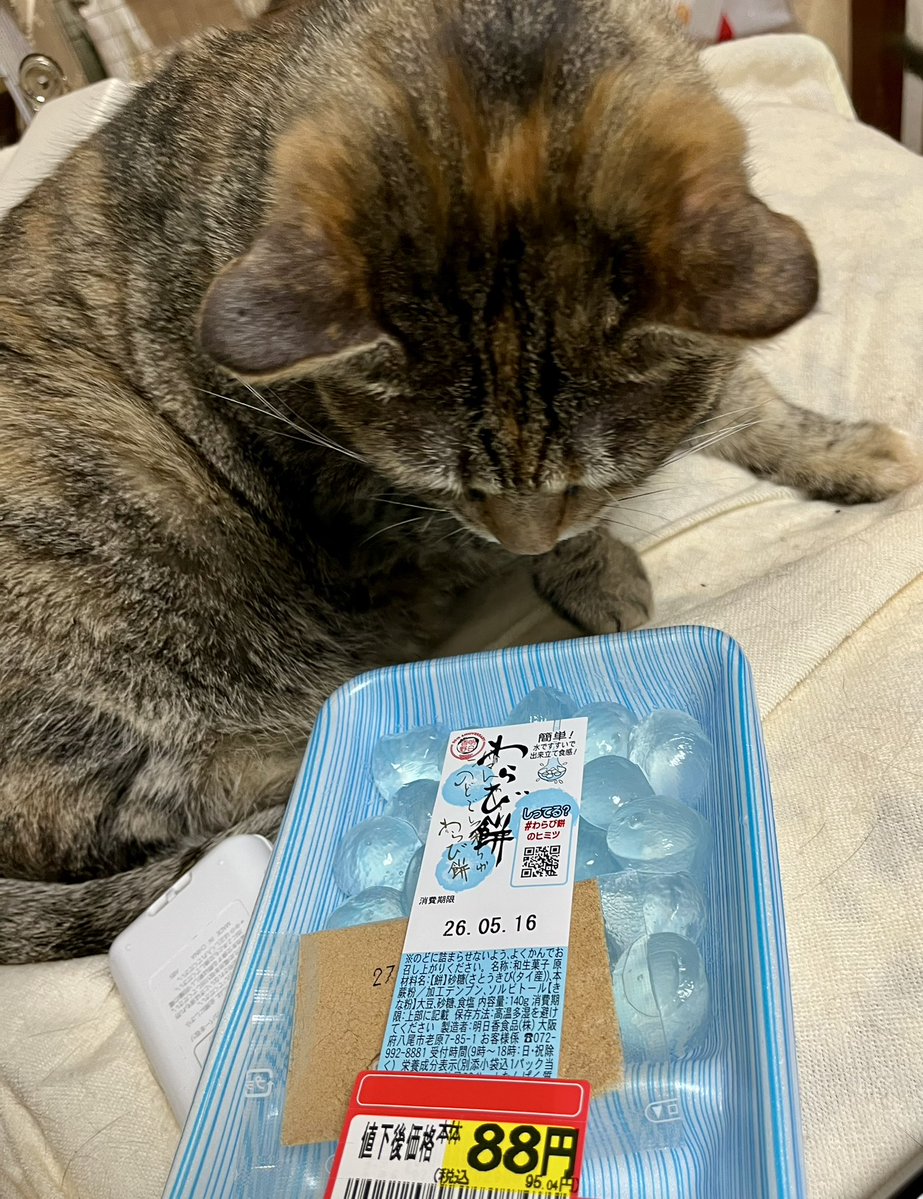 やまひと (@mowchanlovely) / Posts / X