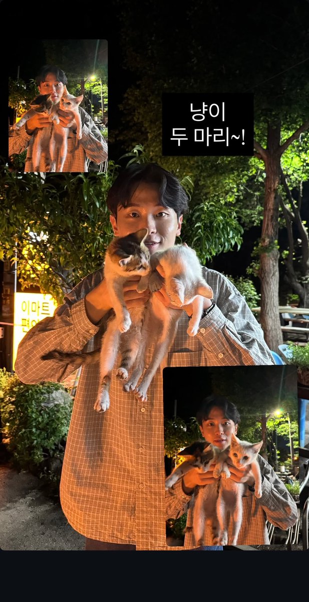 whduseh's tweet photo. ㄱㅇㅇ🐱🐈😻 https://t.co/UwIflH9Pra