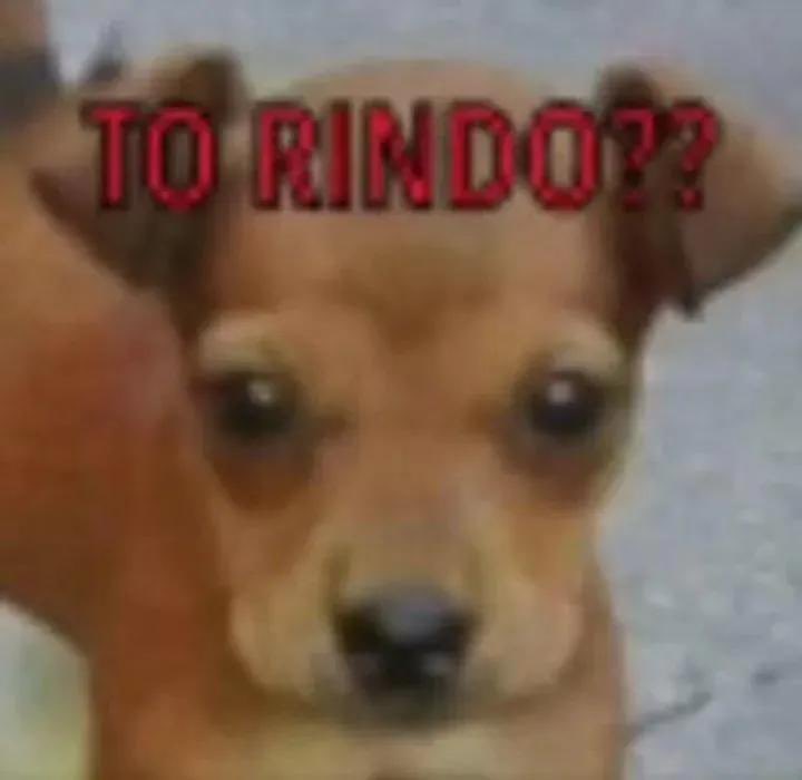 kh4lii's tweet photo. to ficando depre dnv https://t.co/SOfC2lhLZl