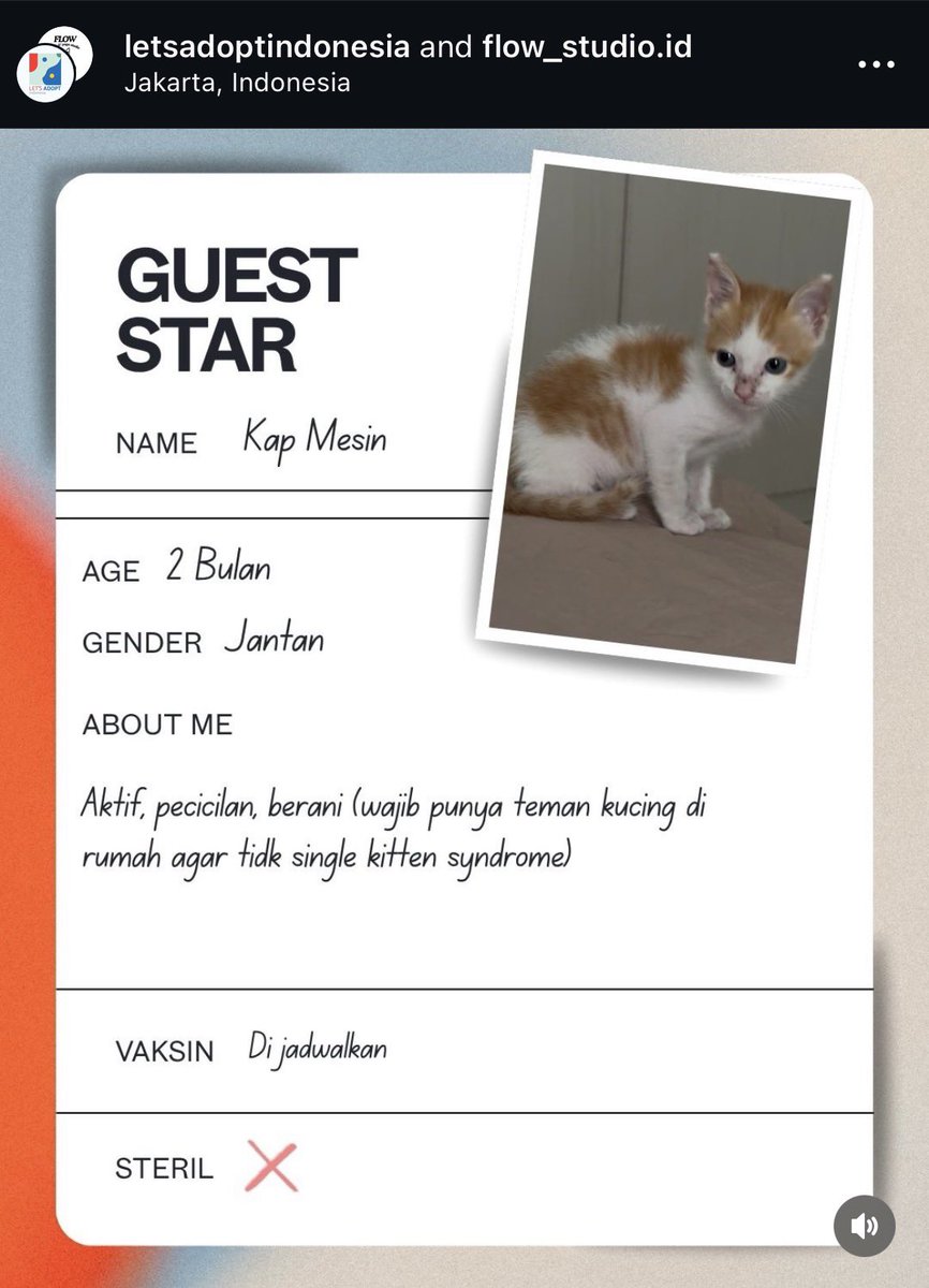 Adung & Imut 🐈 tweet media