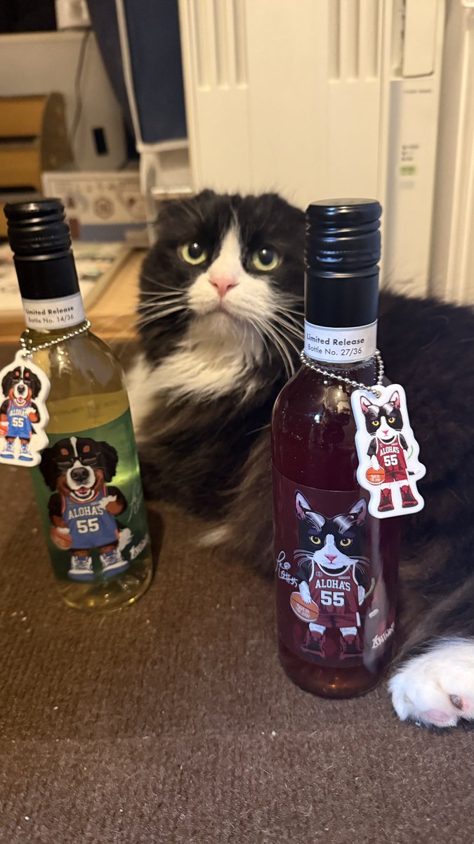 Cq81Hq's tweet photo. ごめんなさい🙇‍♀️普段ワインを飲むことがないので教えてください🙇
一般家庭の（ワインセラーない）保存方法！
飲むと決めたときに冷蔵庫でキンキンに冷やしたほうがいいか常温のほうが美味しいのかとか、全くの無知です😢
このワインだけは美味しく飲ませてください🤣👍w
@Daichi0099 
@Adeto55_WAN https://t.co/Ayjbn1Tv2G