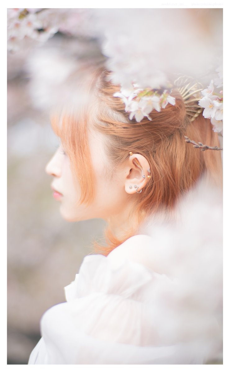 れいの写真 tweet media