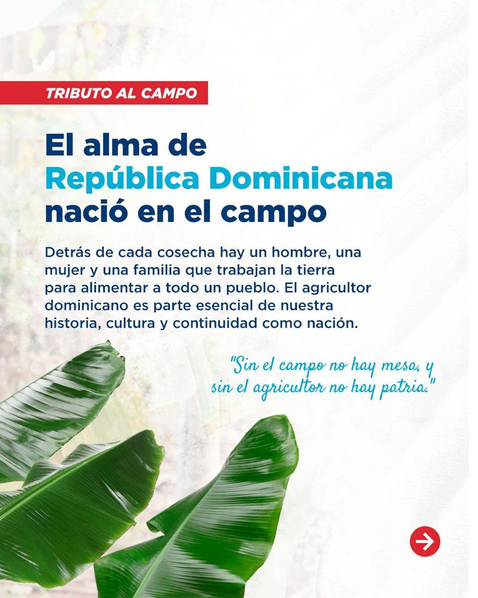 RDenChicago's tweet photo. 🌱🇩🇴 En el Día Nacional del Agricultor reconocemos a quienes fortalecen nuestra economía y proyectan la calidad de los productos dominicanos al mundo.

Gracias por cultivar el presente y futuro de RD. 👨🏽‍🌾👩🏽‍🌾

#DíaNacionalDelAgricultor #OrgulloDominicano https://t.co/LHiA4r2sP4