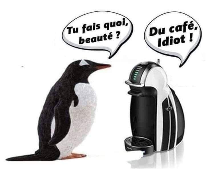 Laurent36600's tweet photo. 😂😂😂 https://t.co/O8L9A739Dj