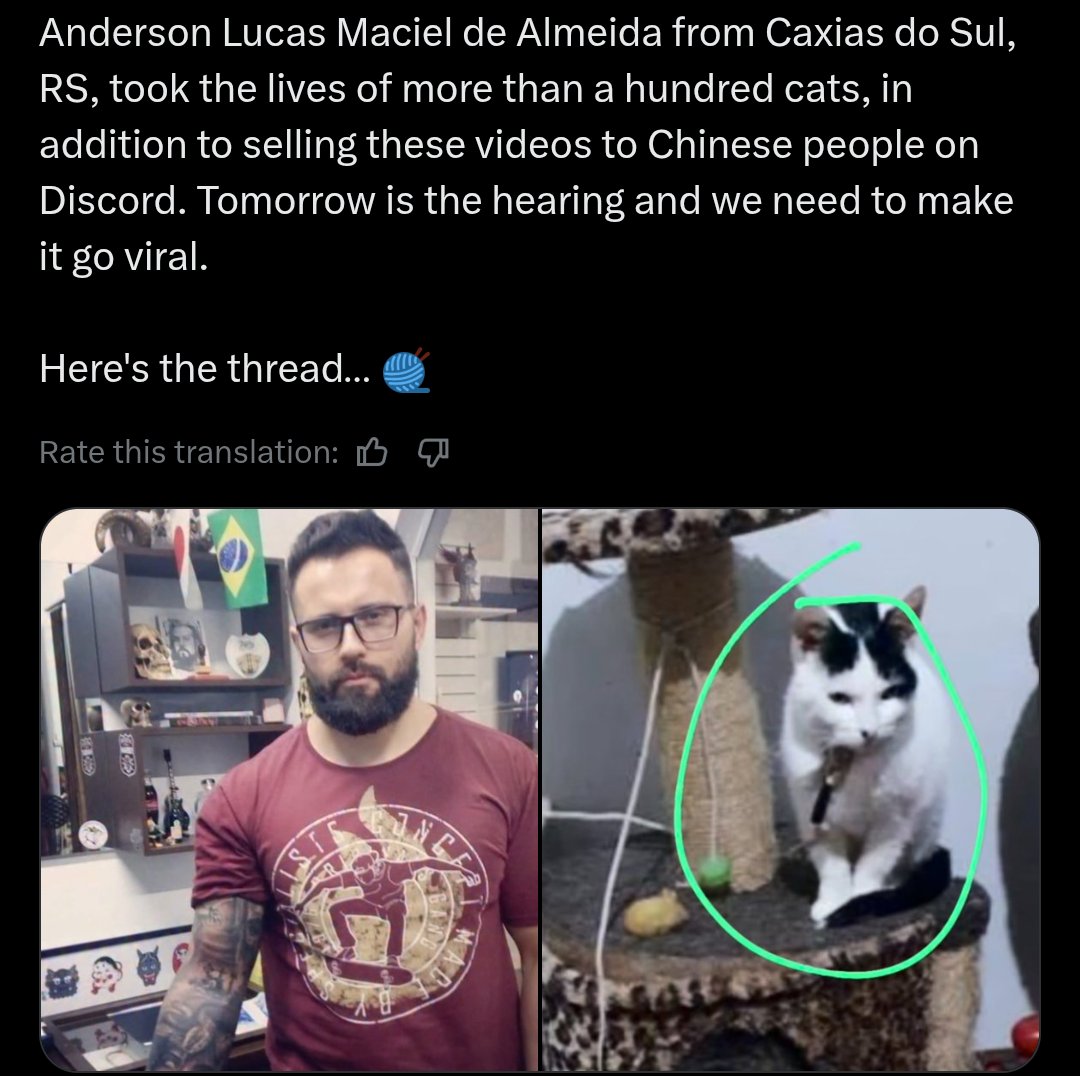 Phaedra tweet media