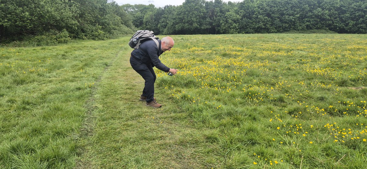 RBKParks's tweet photo. What a fantastic day at Churchfields! 🌿 We had the pleasure of meeting Judge Chris Worman MBE today for our Green Flag judging https://t.co/gEzUPKE0zi