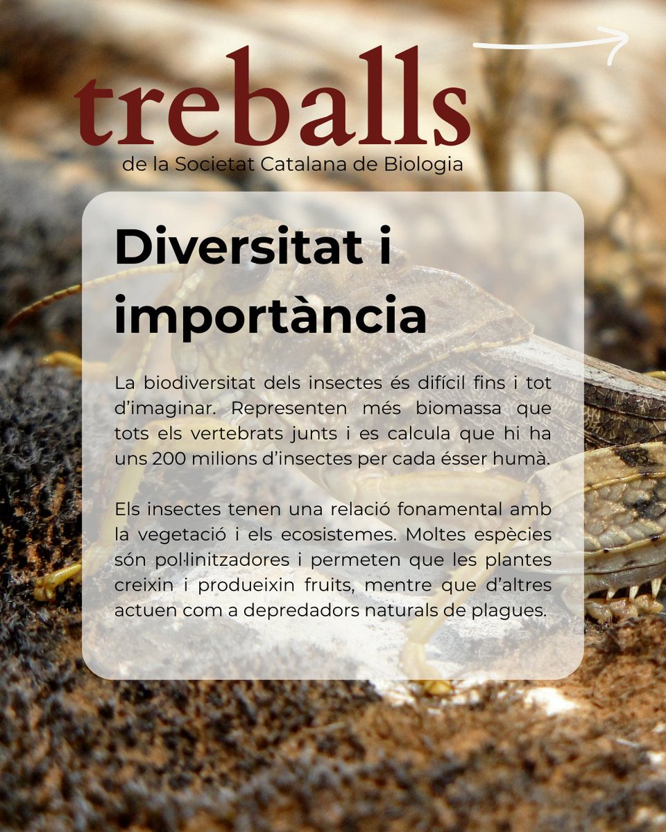 Societat Catalana de Biologia tweet media