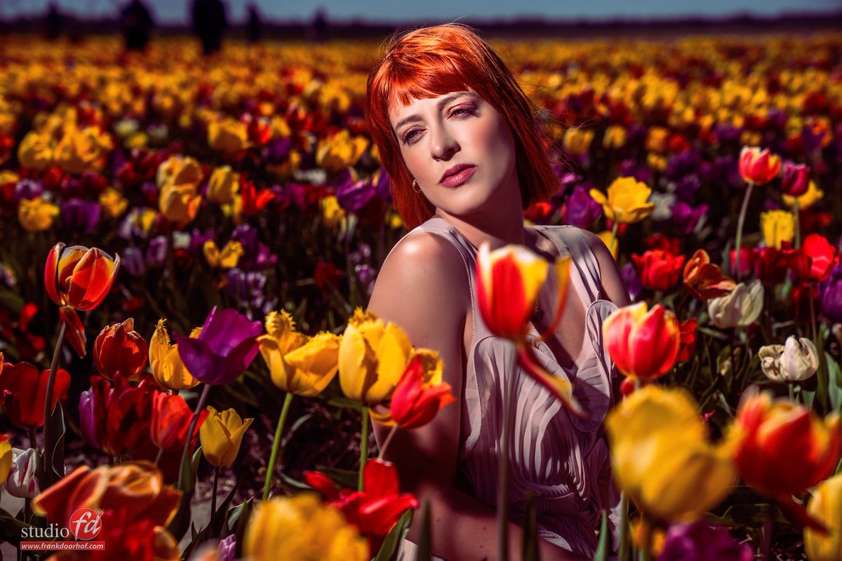 frankdoorhof's tweet photo. We recently did a great shoot in the tulips with Claudia 
Read all about it on my blog :

https://t.co/5w5qDBgTDN

#iqwire #clickbackdrops #geekoto #AQCOLOR #alphapro #rogue #borisfx #modelphotography #workshops https://t.co/jANUj5PmWf