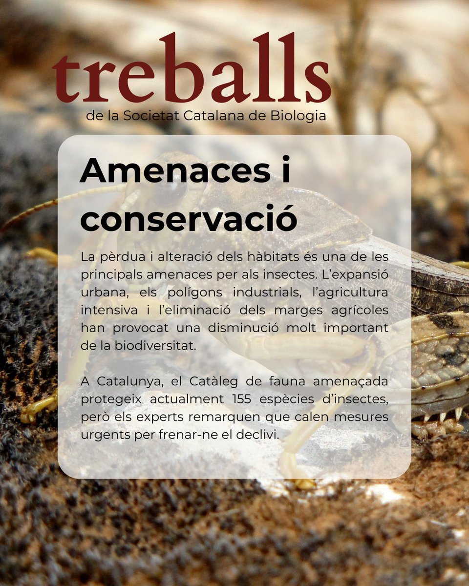 Societat Catalana de Biologia tweet media