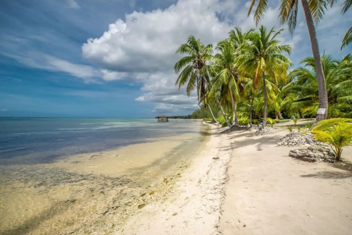 PoMBeachFrVilla's tweet photo. 🌴 Escape to Paradise at PieceOfMineBeachfrontVilla 
Perfect for a romantic getaway or a relaxing island escape! 💙

Book your stay today:
PieceOfMineBeachfrontVilla
+1 345-916-0709
travelplus72@gmail.com

#GrandCayman #IslandVacation #CaymanIslands  #PieceOfMineBeachfrontVilla https://t.co/hcpotaOAHF