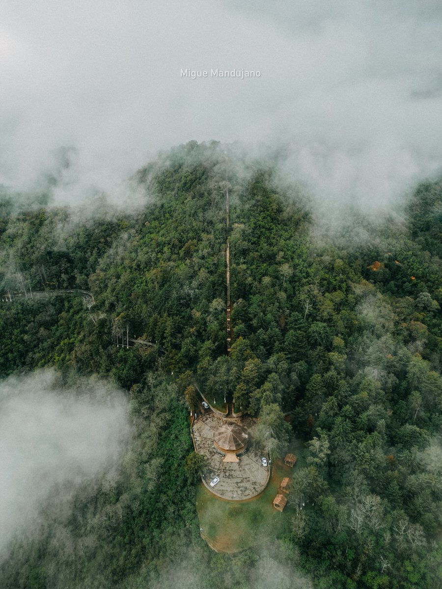 TurismPatzcuaro's tweet photo. Toma aérea del mirador y escaleras en el Estribo Grande en día de neblina 🫡 #patzcuaro #naturaleza https://t.co/8GWGe8Vii8