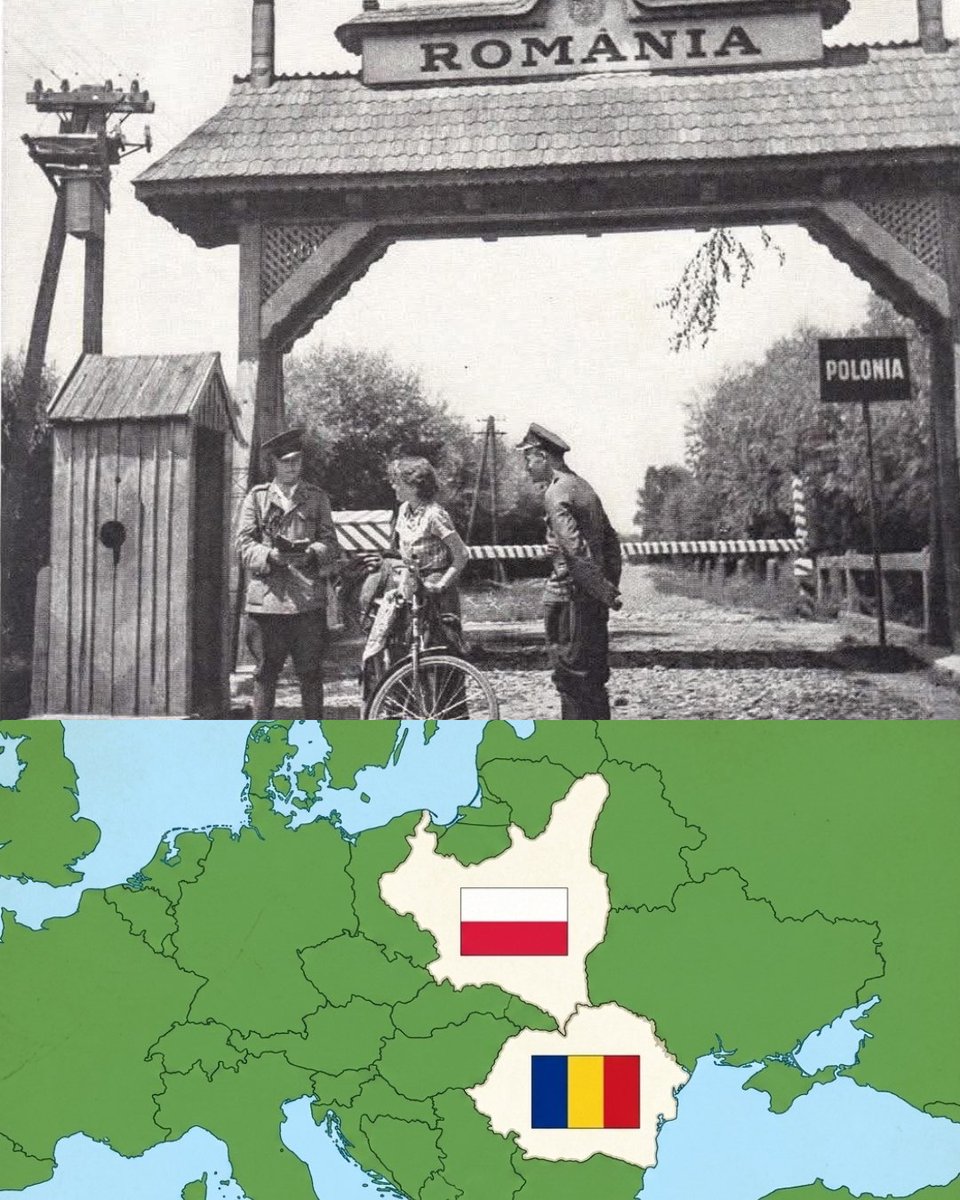 Daily Romania tweet media