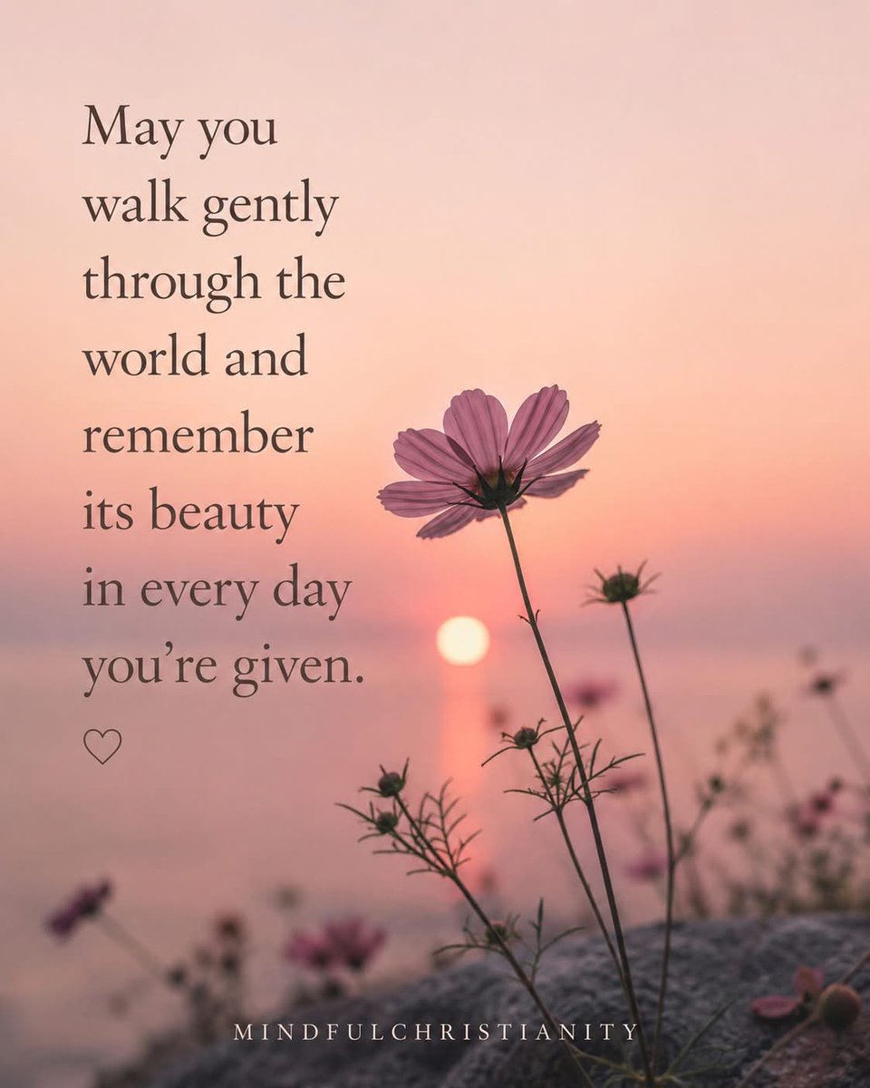 MindfulChristi4's tweet photo. There is something holy about slowing down long enough to notice beauty again. The warmth of the sun. The quiet of morning. The way flowers still bloom after storms. The gentle reminder that God’s presence is woven into ordinary moments. 🌸

So much peace returns when we stop rushing through life and start paying attention to it. You do not have to chase every moment. Sometimes healing begins when you simply become present to the one you are already in. May your heart stay soft enough to notice wonder. And may you never lose sight of the quiet beauty God places around you each day. If this encouraged you, explore our devotionals, worship playlists, and peaceful Christian resources created to help you slow down and rest in God’s presence daily. Find Peace With God — link in bio.