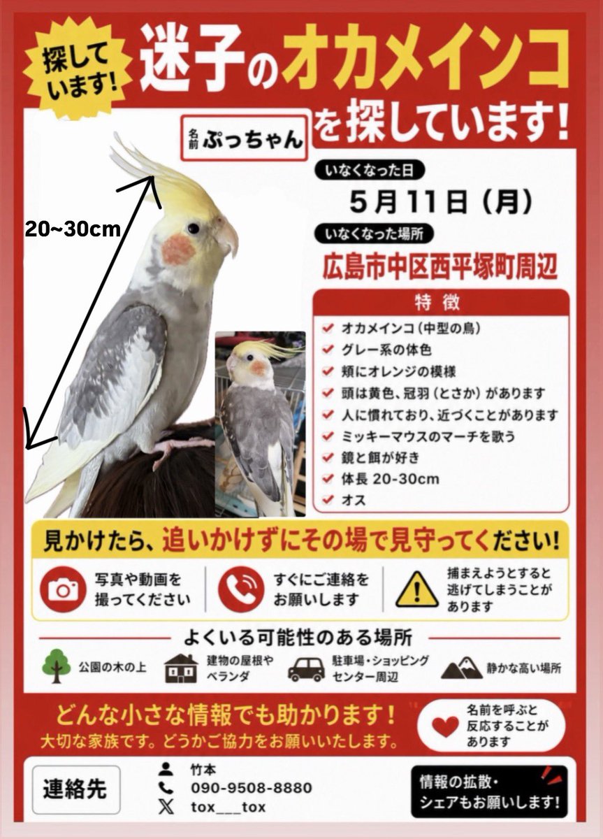 ぷっちょ tweet media