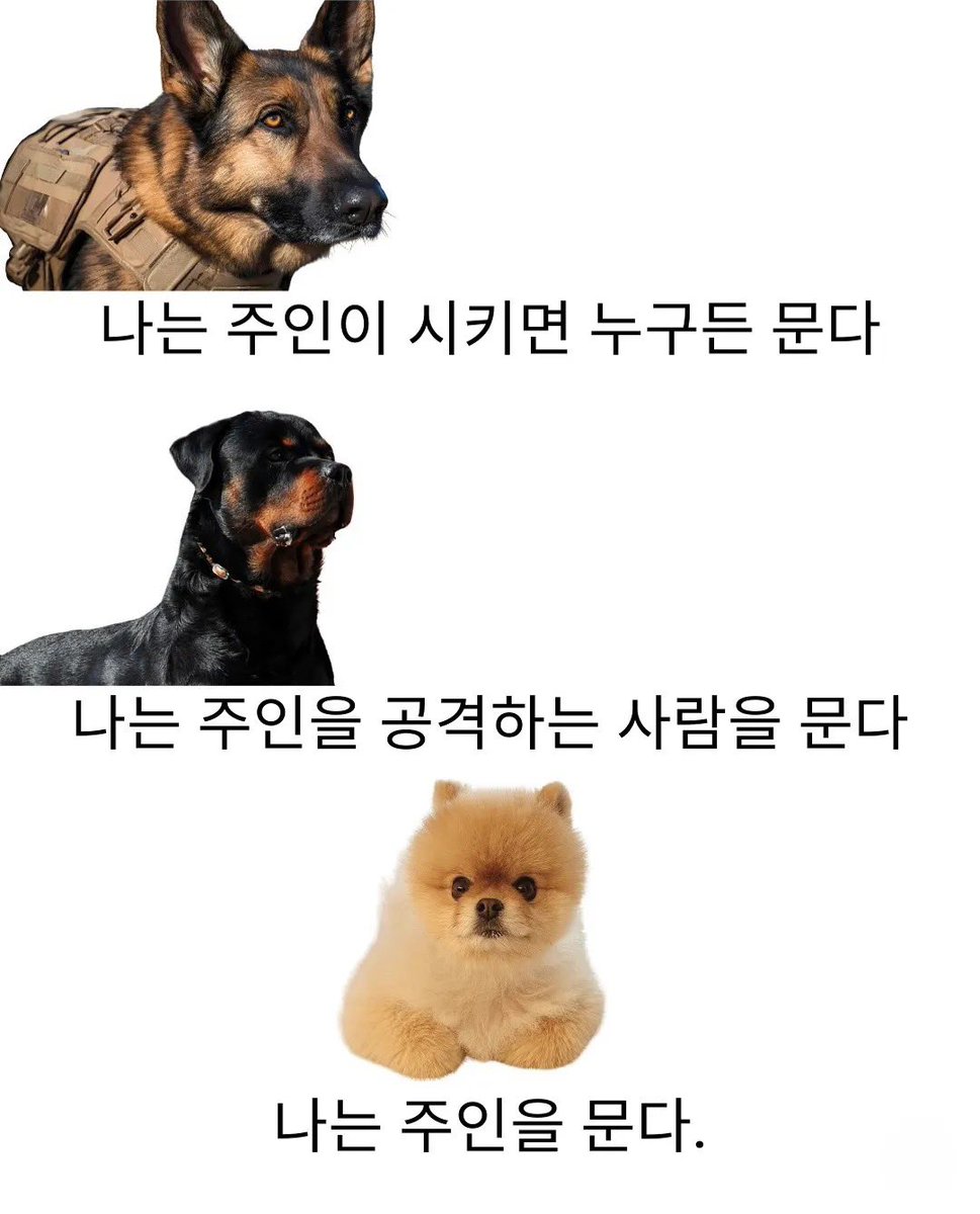 쿠쿠 tweet media