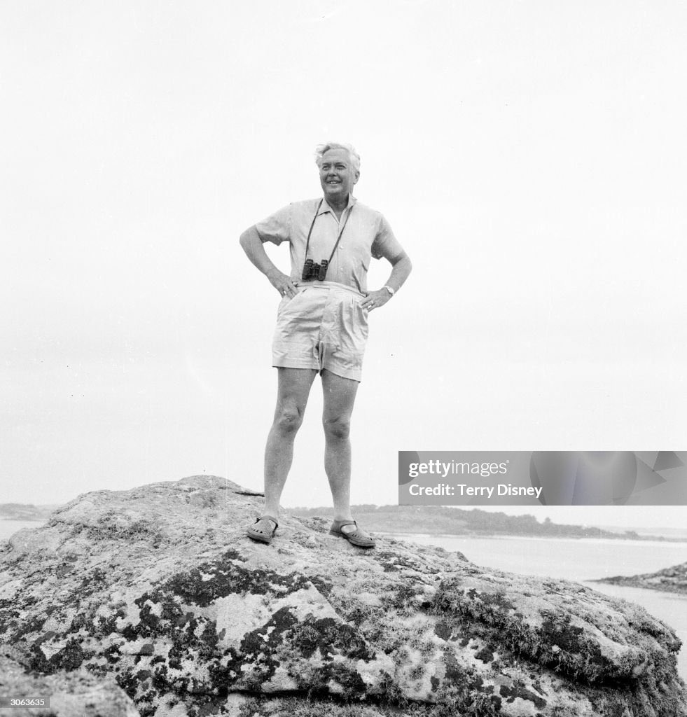algorecrave's tweet photo. on everyone’s soul we’re having a harold wilson summer. haroldwilsonmaxxing if you will. https://t.co/ynfZWcNjOv