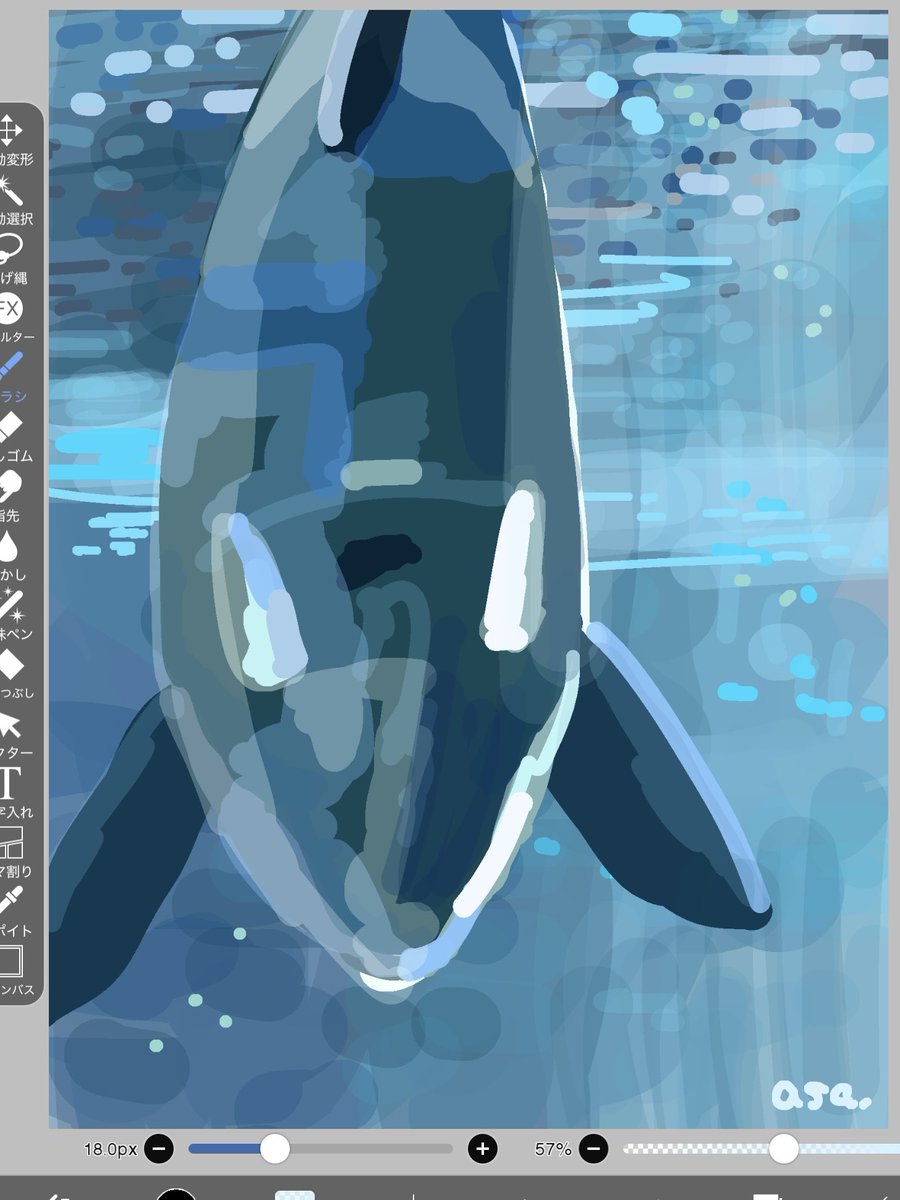 水族館で出会ったシャチのスケッチ。 #sketch