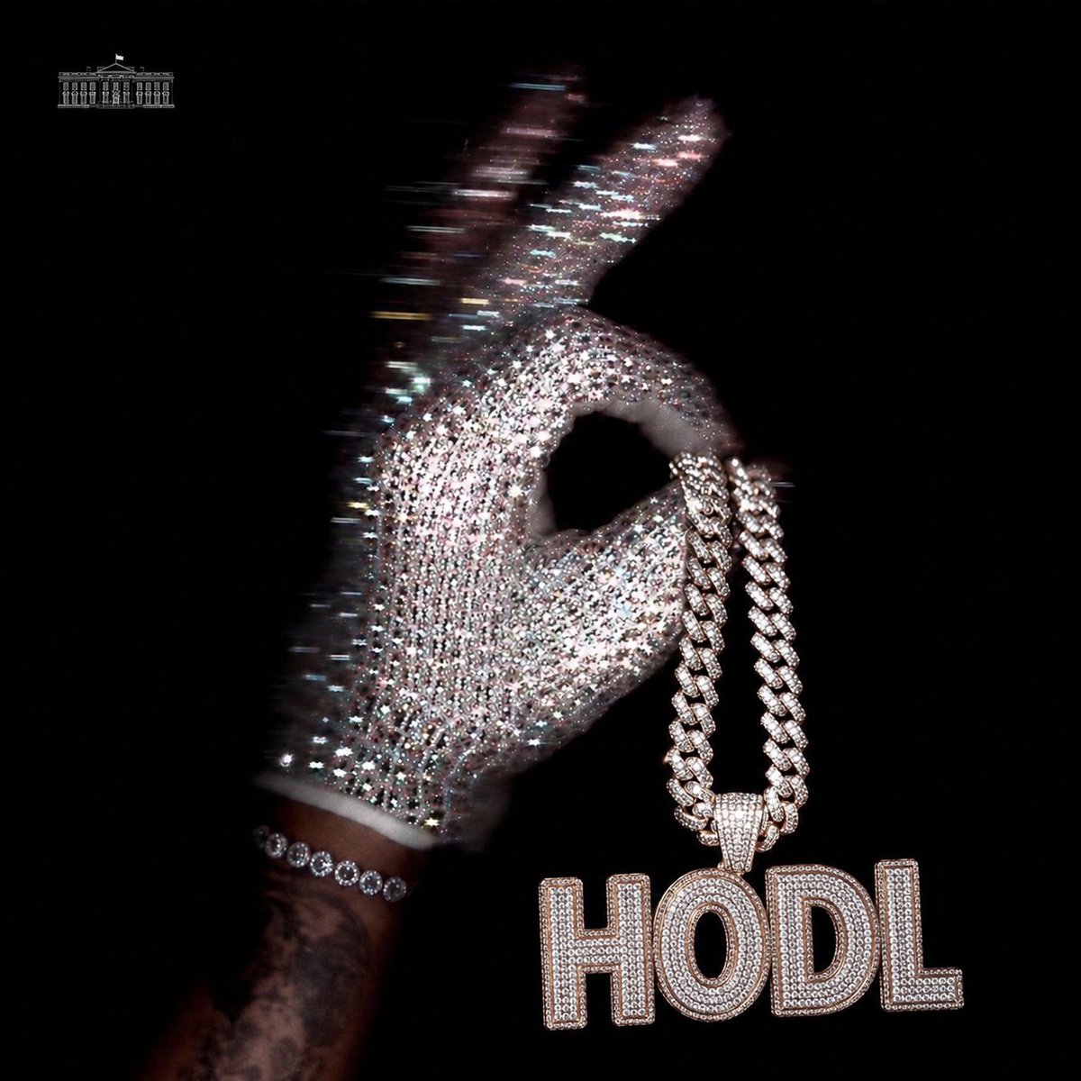 HODL tweet media