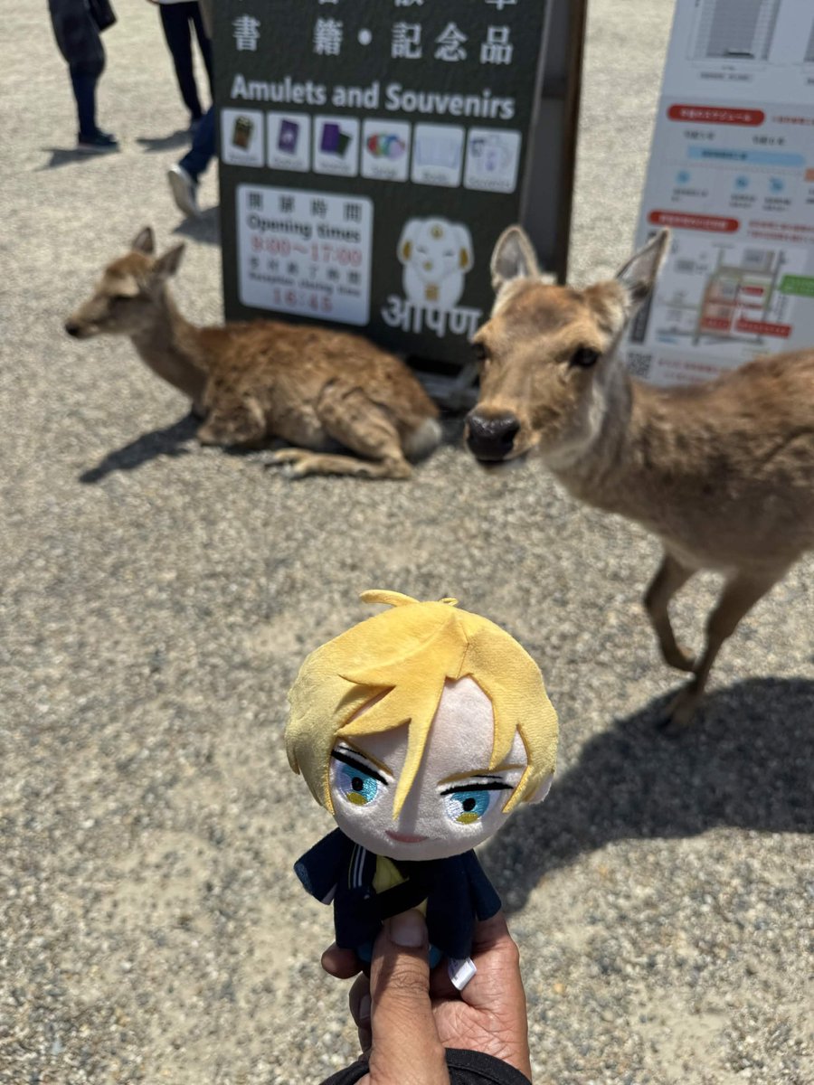 _Sceptile_'s tweet photo. Got send more adorable photos of Satan in Japan! Yipee! Thank you @Chelonetsu
#ObeyMeSatan #Obeyme #Japan #Kyoto #Obeymemerch https://t.co/MY3h1JrtT5