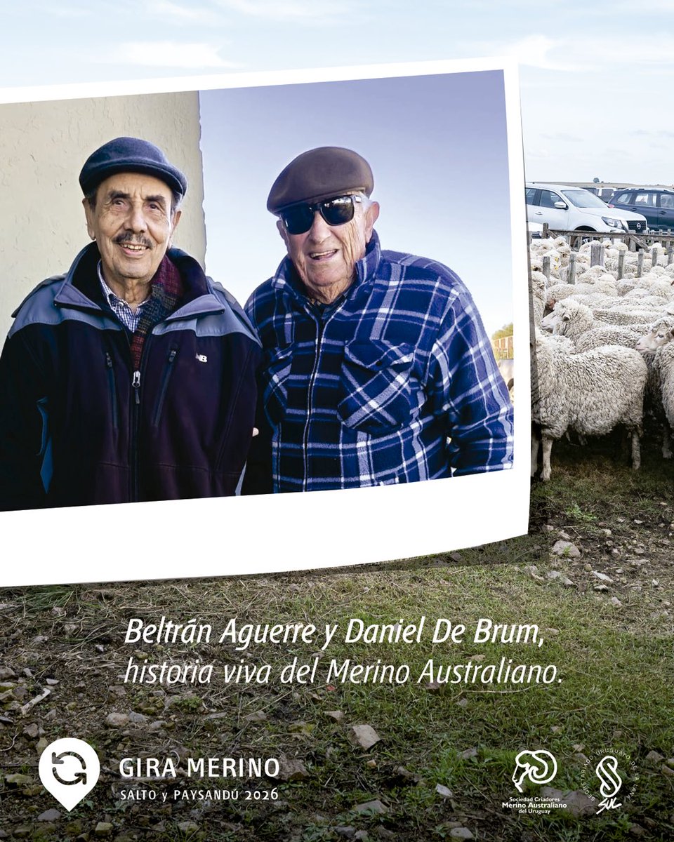 MerinoUY's tweet photo. Beltrán Aguerre y Daniel De Brum, historia viva del Merino Australiano.

🙌🏻Agradecidos de tener su firme presencia junto a la raza y la sociedad. https://t.co/FPVzP4gqpn