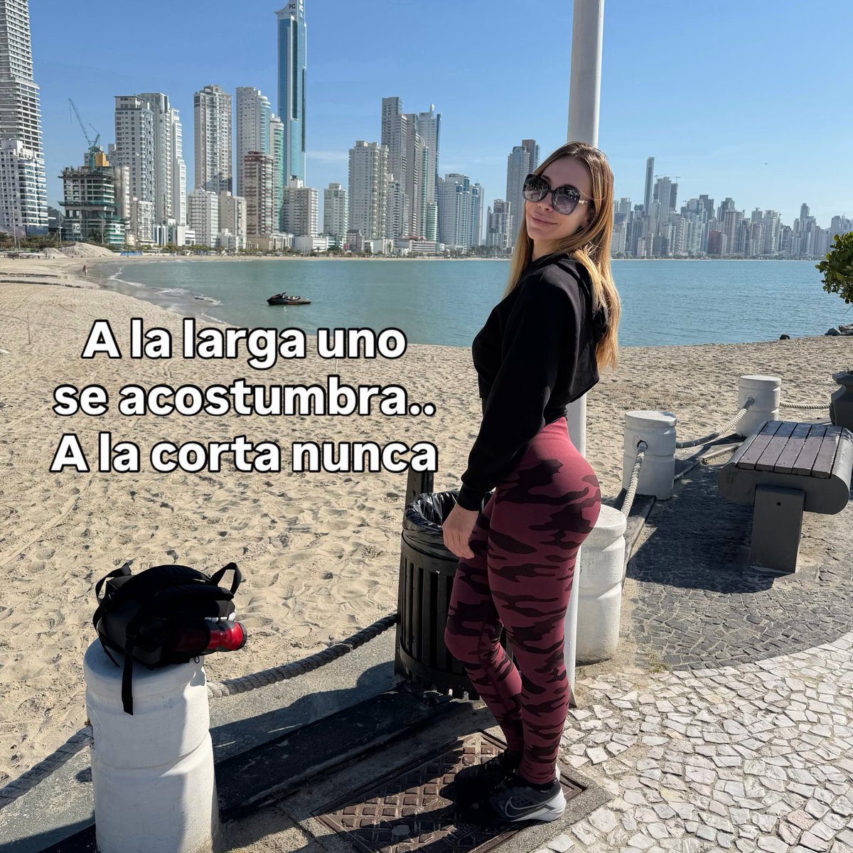 Gringa tweet media