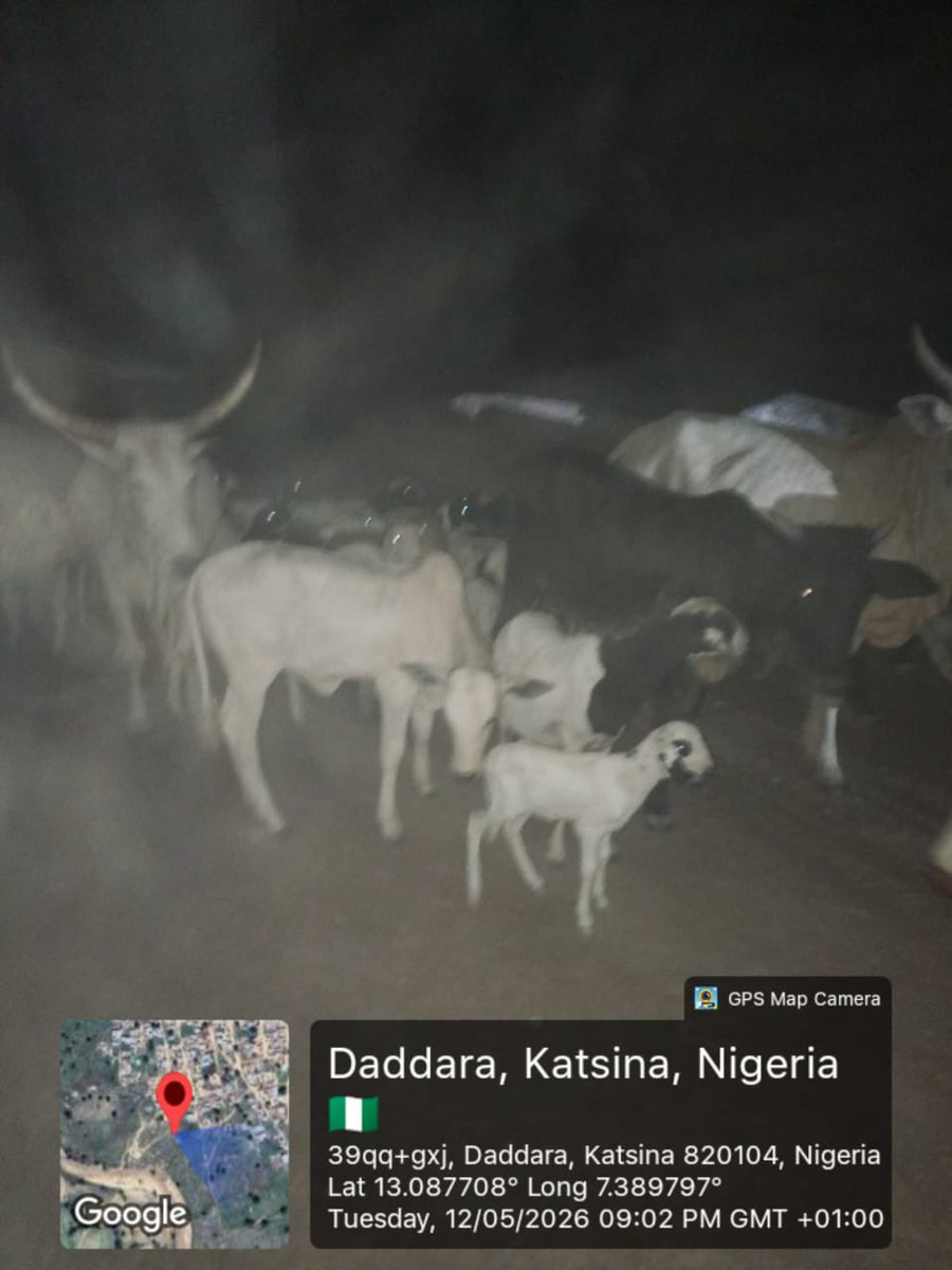HQNigerianArmy's tweet photo. OPERATION FANSAN YAMMA: TROOPS NEUTRALISE SEVERAL LAKURAWA TERRORISTS,  RECOVER WEAPONS AND RUSTLED LIVESTOCK

Troops of Sector 2, Operation FANSAN YAMMA in continuation of series of offensive operations against terrorists and bandits, have successfully neutralised several terrorists, recovered weapons and livestock across Sokoto and Katsina States 

In Sokoto State, troops responded swiftly to a distress call reporting an attempt by Lakurawa Terrorist Group (LTG) to set fire to a Nigerian Immigration Service  facility at Ruwa Wiri Village in Tangaza LGA of Sokoto State. The troops made contact with the terrorists, neutralising 2 terrorists in the ensuing firefight, while others fled due to overwhelming firepower. A subsequent exploitation of the area led to the recovery of 2 AK-47 rifles, several ammunition and motorcycle.  

In a separate operation, troops deployed in Jibia LGA of Katsina State, while on a fighting patrol, encountered terrorists moving with herds of rustled livestock at Danya Bakwai Settlement. The troops engaged the terrorists, forcing them to abandon 62 rustled livestock.The livestock were recovered and subsequently handed over to their rightful owners at the palace of the Daddara District Head in Jibia LGA.  

Operation FANSAN YAMMA remains committed to eradicating terrorism and bsnditry in the region. The public is urged to continue to provide credible information to security forces.

OLANIYI OSOBA
Lieutenant Colonel 
Acting Deputy Director, Army Public Relations
8 Division,  Army / Sector 2 Operation FANSAN YAMMA  
15 May 2026
