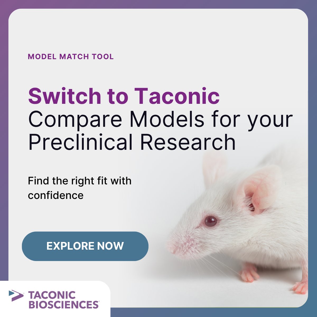 Taconic's tweet photo. Switch to Taconic with confidence.

Looking for a comparable model? Taconic’s Model Match Tool identifies equivalent strain options to simplify model comparison and study design.

Find the right fit: https://t.co/3x2jxYN5qf https://t.co/lMtNp0y7hf