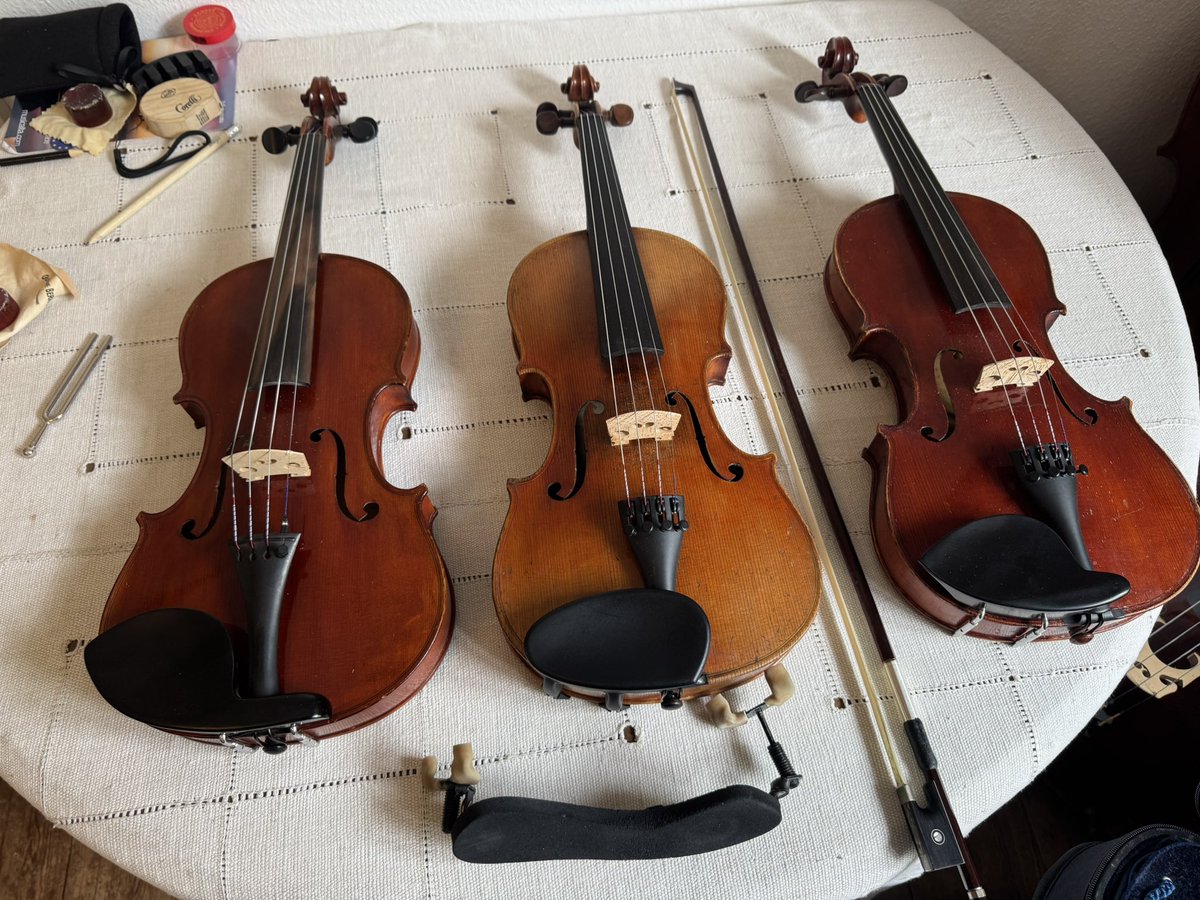 YBohmler's tweet photo. En pleine sélection chez le luthier 😌 https://t.co/q3CvshbGUP