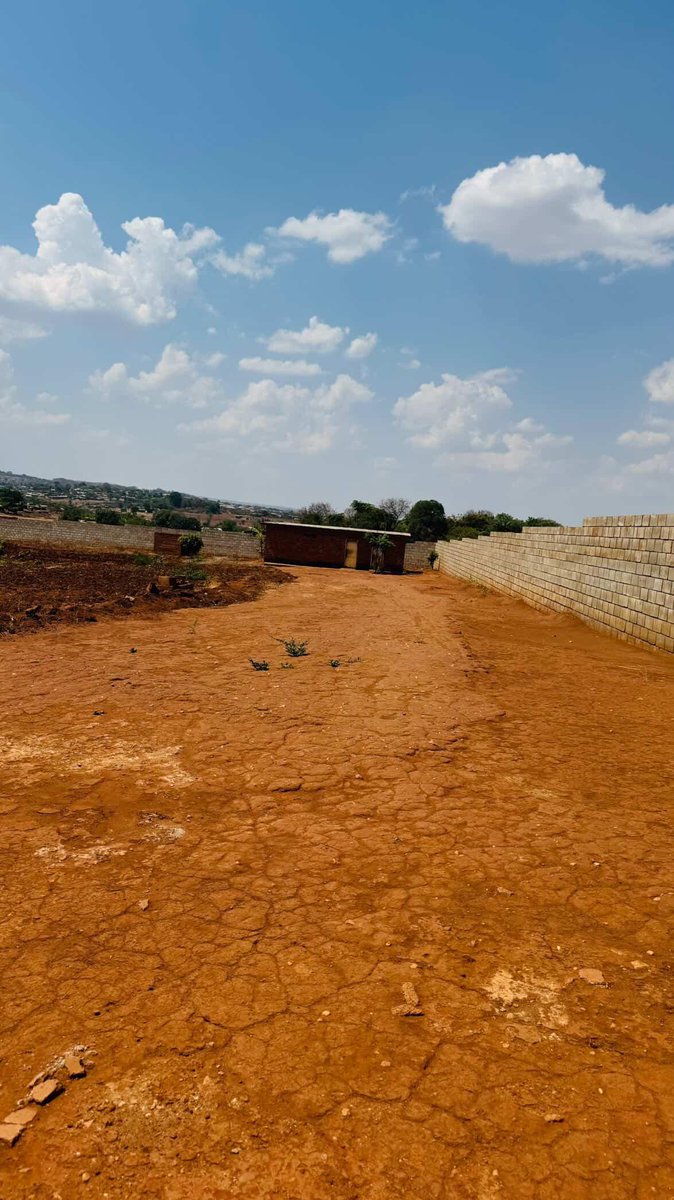 Dumiethedaddy's tweet photo. Plot for sell New Area 43 
265 million negotiable
71/73
3 plots 
WhatsApp number  0885356760 https://t.co/jhzTcetXj7