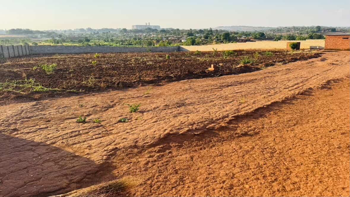 Dumiethedaddy's tweet photo. Plot for sell New Area 43 
265 million negotiable
71/73
3 plots 
WhatsApp number  0885356760 https://t.co/jhzTcetXj7