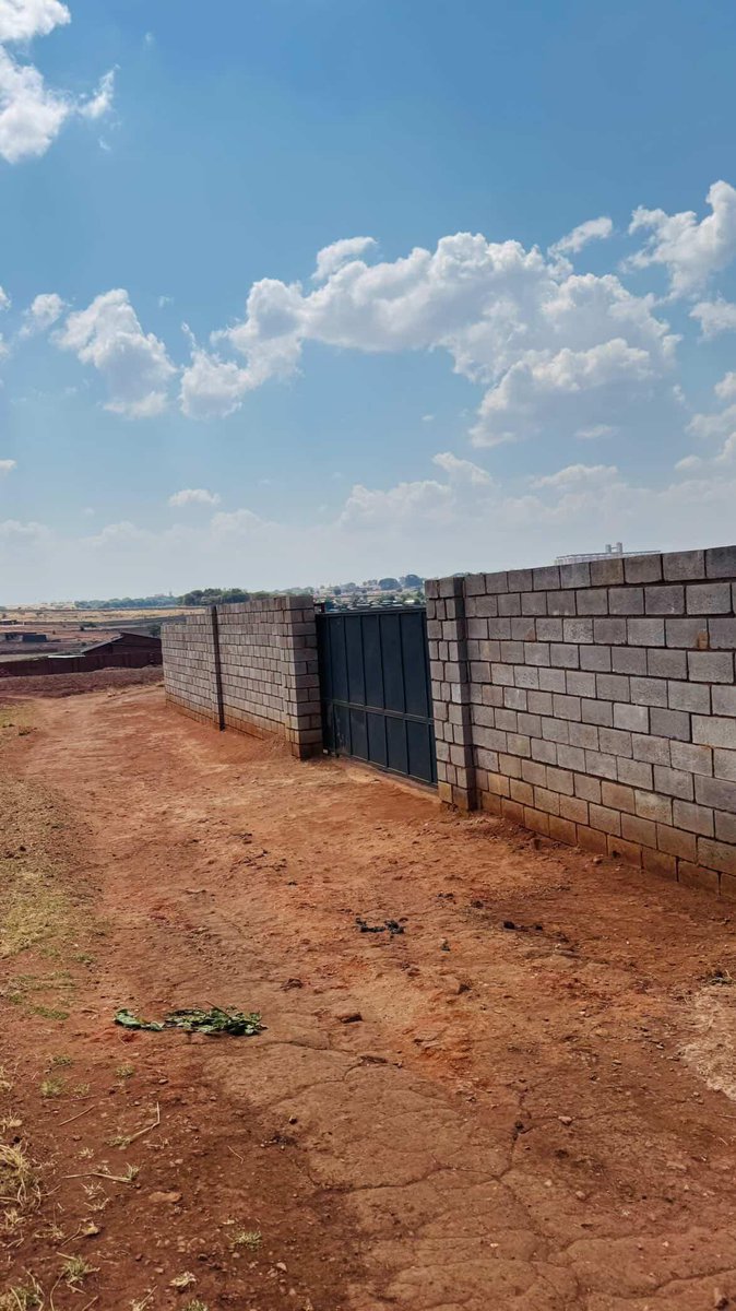 Dumiethedaddy's tweet photo. Plot for sell New Area 43 
265 million negotiable
71/73
3 plots 
WhatsApp number  0885356760 https://t.co/jhzTcetXj7