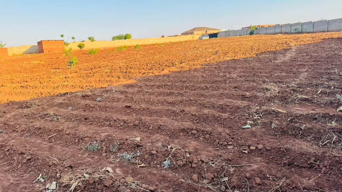Dumiethedaddy's tweet photo. Plot for sell New Area 43 
265 million negotiable
71/73
3 plots 
WhatsApp number  0885356760 https://t.co/jhzTcetXj7