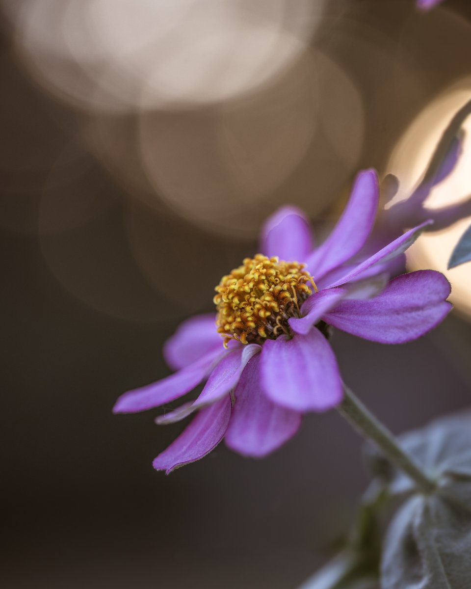 Tina Quillen Photography tweet media