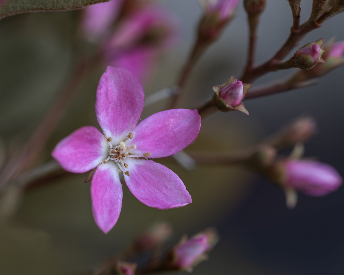 Tina Quillen Photography tweet media
