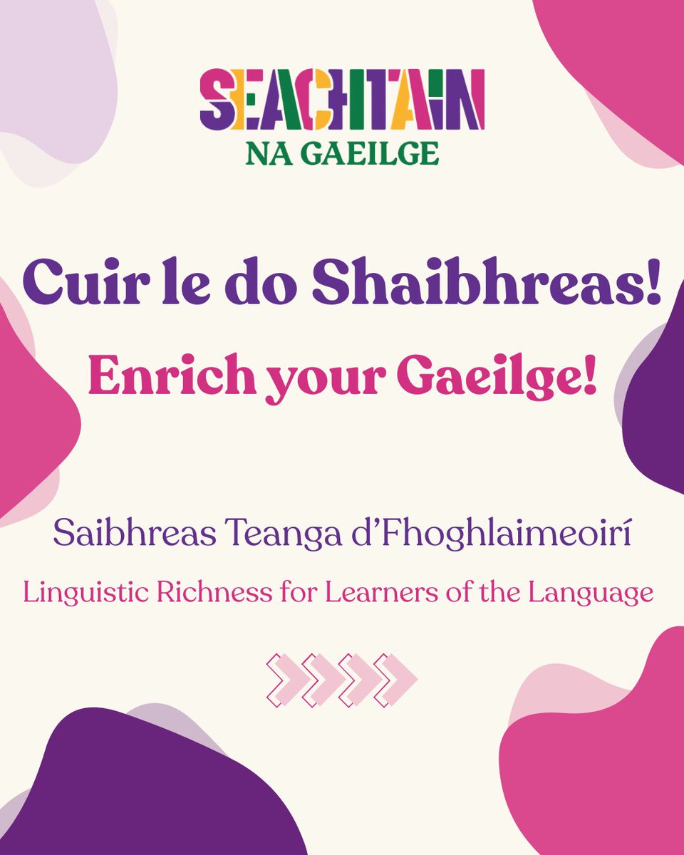 SnaGaeilge tweet picture