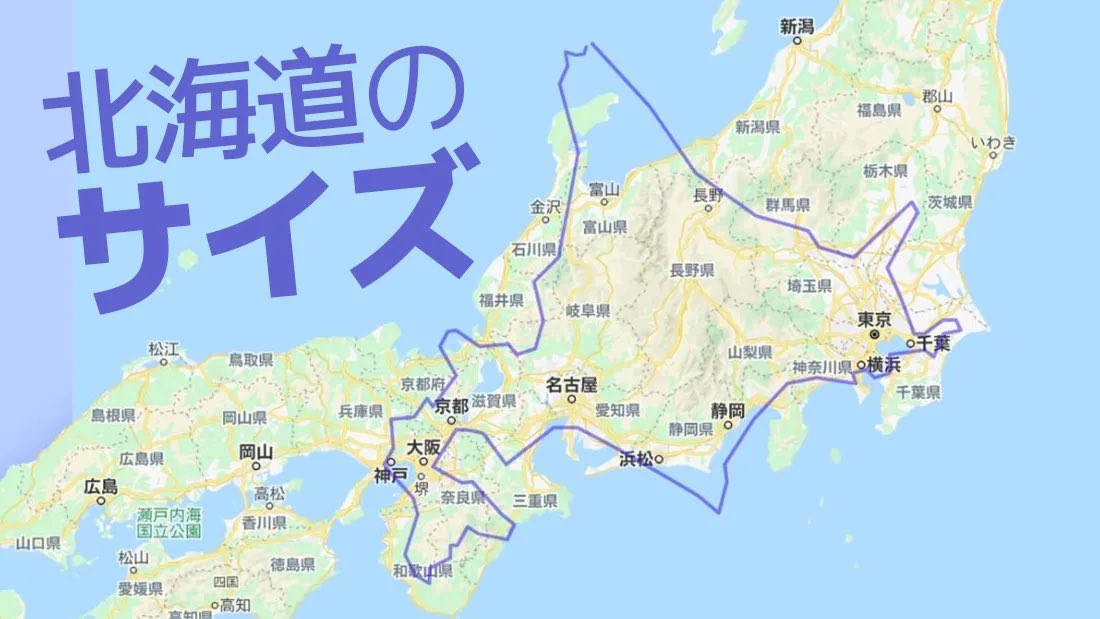 ハルカ🥑 tweet media