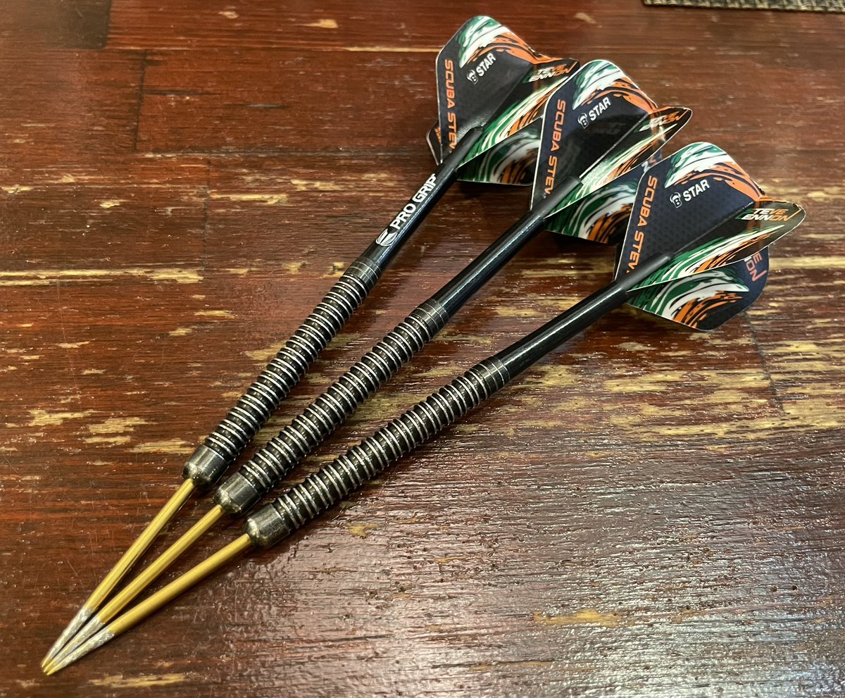 My Darts Setting】 Barrels ・Bulls🇩🇪 Steve Lennon 22g Shafts