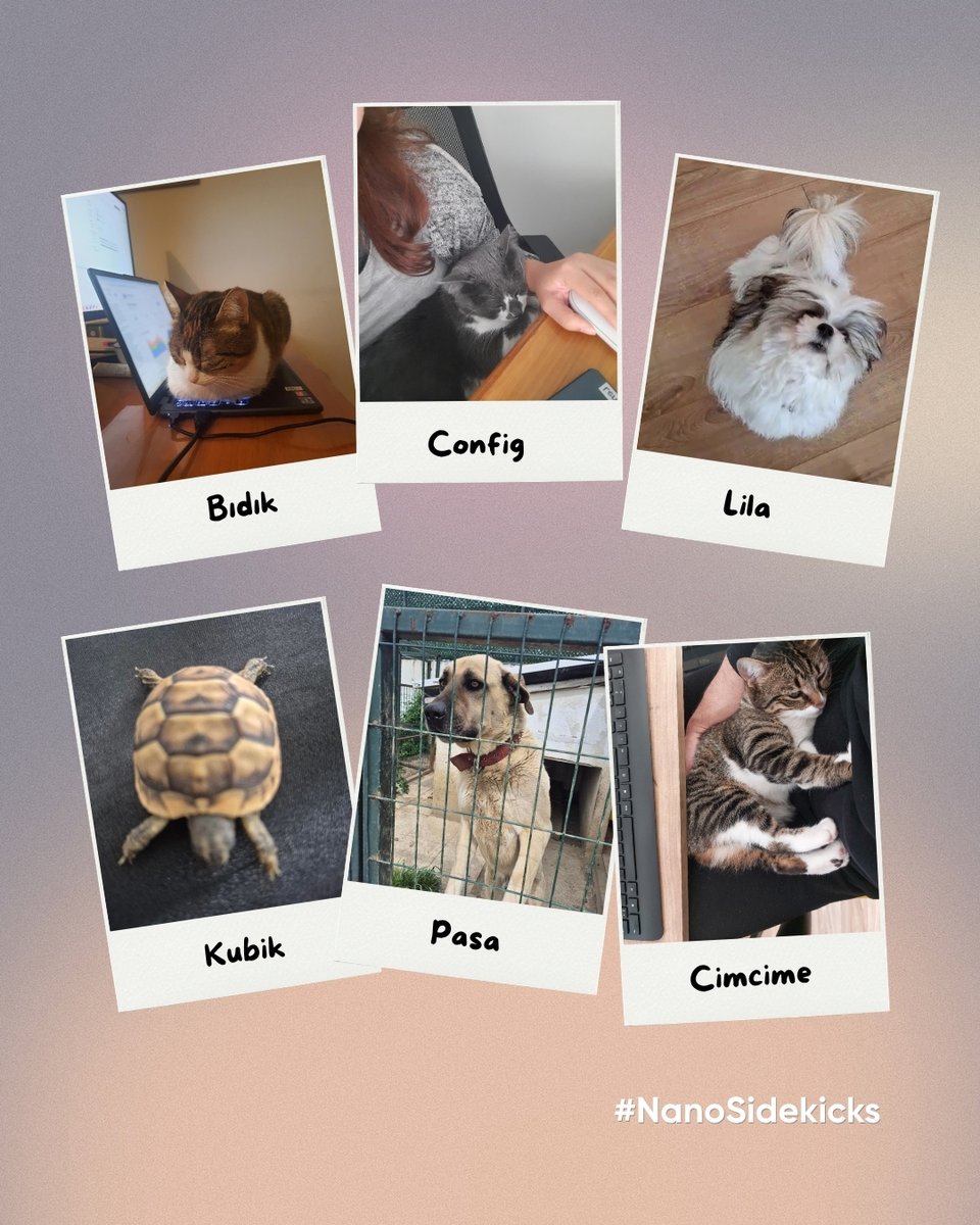 Nanodems's tweet photo. Powered by #NanoHeroes. Supervised by #NanoSidekicks.

Meet the pets of our NanoHeroes, always keeping an eye on the workflow, sniffing out bugs, and making sure morale stays high. From bug detection to snack inspection, our NanoSidekicks take their responsibilities seriously! https://t.co/IEft1OvvC8