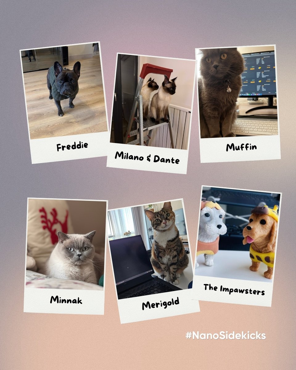 Nanodems's tweet photo. Powered by #NanoHeroes. Supervised by #NanoSidekicks.

Meet the pets of our NanoHeroes, always keeping an eye on the workflow, sniffing out bugs, and making sure morale stays high. From bug detection to snack inspection, our NanoSidekicks take their responsibilities seriously! https://t.co/IEft1OvvC8